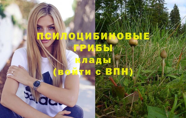 спиды Алзамай