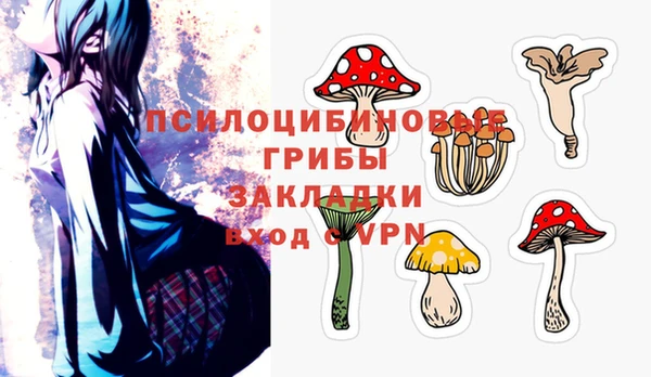 спиды Алзамай